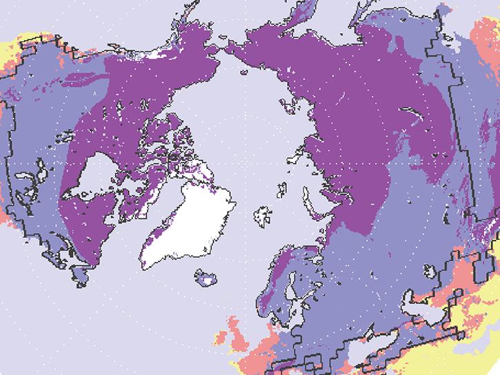 image of polar ice data