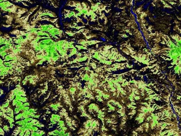 A visualization of Normalized Difference Vegetation Index (NDVI) data over northern Mongolia on October 20, 2023, from the ECOSTRESS ECO_L2T_STARS V002 product.