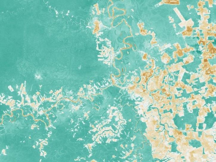 This 2024 Normalized Difference Vegetation Index (NDVI) image from the HLS project shows the degree of land use change in a region of Western Brazil. Green areas with high NDVI values indicate healthy vegetation while tan and brown areas with low NDVI values indicate soil or barren areas.