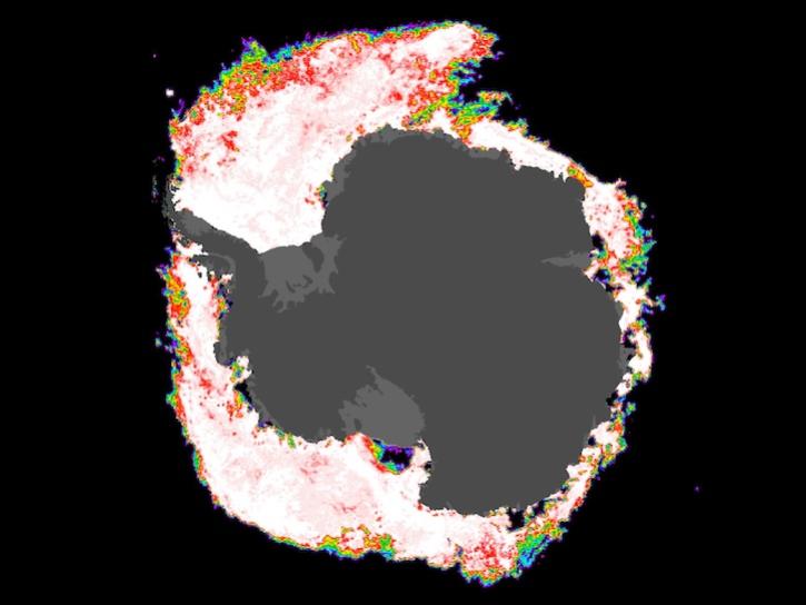 Image composite of percent sea Ice Concentration of Antarctica on December 1, 2024 from the AMSR-2 instrument aboard the GCOM-W1 platform.