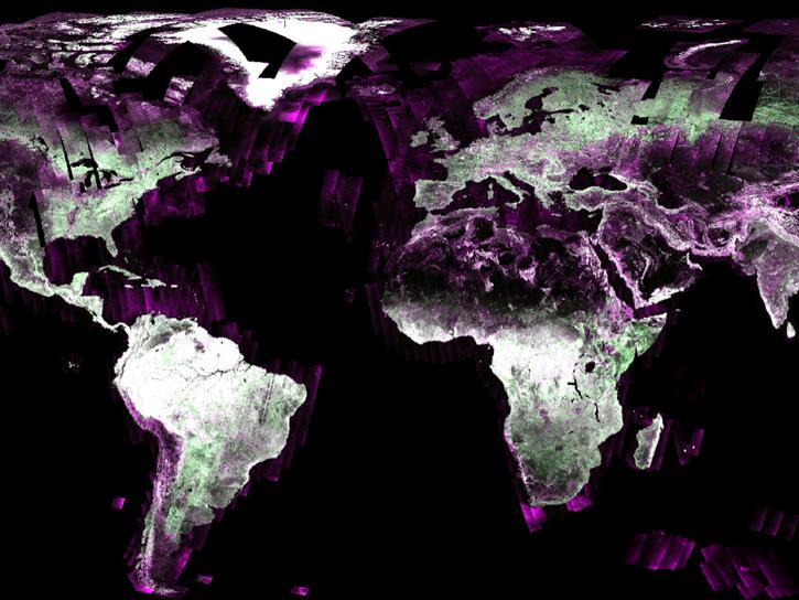 This image shows the globe color coded to indicate its surface type. Most of the image is black to indicate calm water, the ocean, or dry sand. Rough water is depicted in shades of purple. The continents are shaded in green where there is vegetation, and white where there are urban areas or little vegetation. 