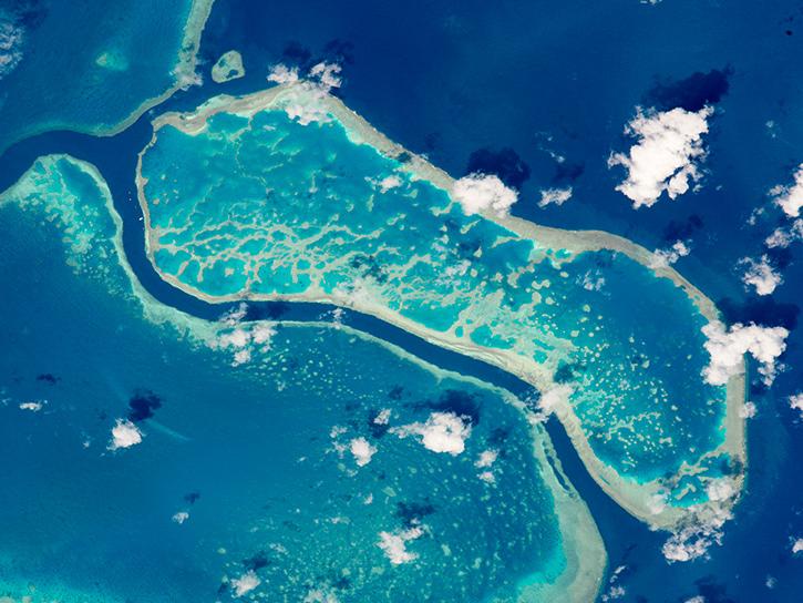 image of ocean reef