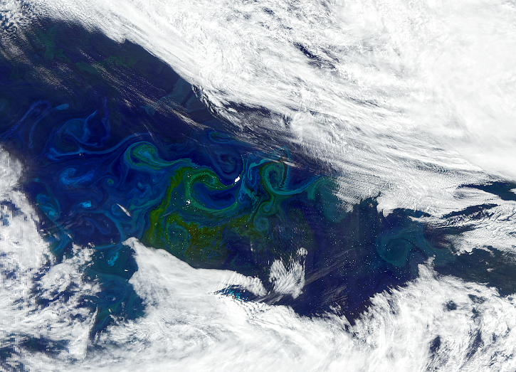 Icebergs circulate in the South Atlantic Ocean currents near the island of South Georgia. Around them, phytoplankton is blooming, creating large green-tinted swirls in this NASA Plankton, Aerosol, Cloud, ocean Ecosystem (PACE) Ocean Color Instrument (OCI) acquired on January 5, 2025. 