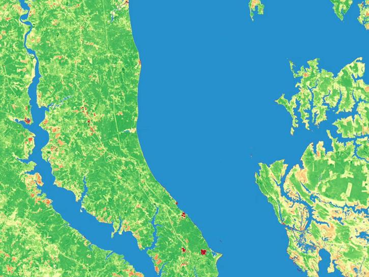 A year of NDVI (Normalized Difference Vegetation Index) data of areas in Maryland on both sides of the Chesapeake Bay. The Patuxent River enters the Bay on the left and Taylors Island and the Blackwater National Wildlife Refuge on the right. In this visualization, red is bare soil and green indicates healthy, growing vegetation. The animation runs from January 1 to December 30, 2016.