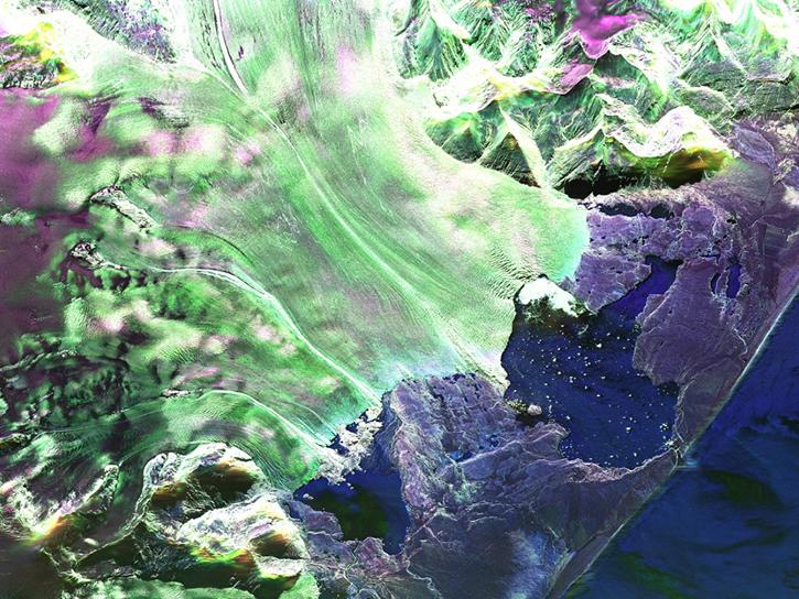 NISAR image of land surface