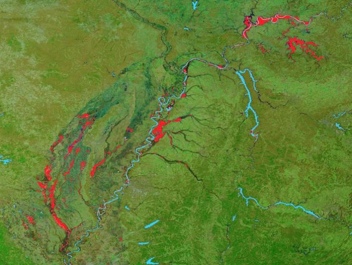 False-color corrected reflectance image overlaid with the 3-day Flood Window layer showing flooding in Arkansas, Tennessee, Kentucky, and Indiana on 25 February 2025 from the MODIS instrument aboard the Terra satellite 