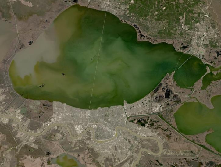 True-color image of Lake Pontchartrain and New Orleans on 2 February 2025 from the OLI instrument aboard the Landsat 8 satellite 