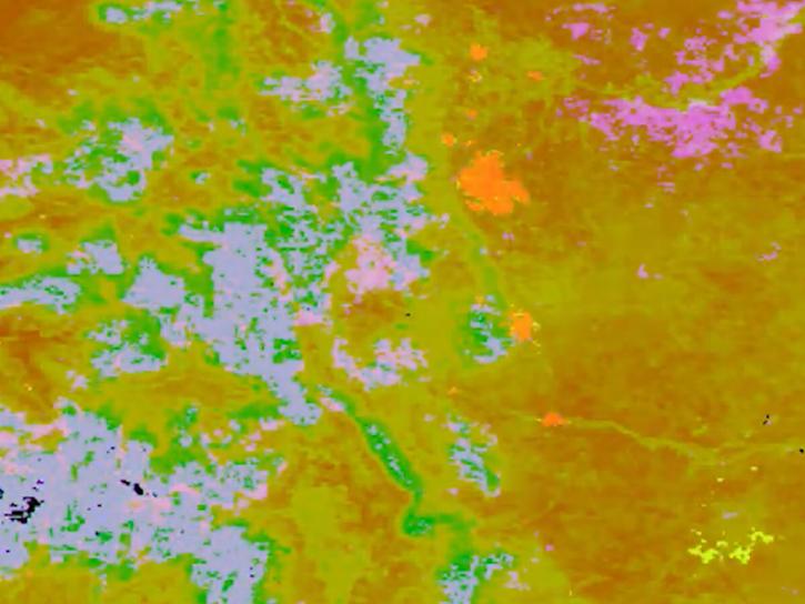 image of Appeears area sampler data using MODIS