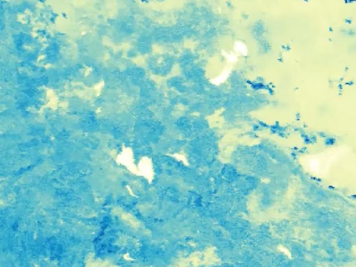 image of Appeears geospatial data