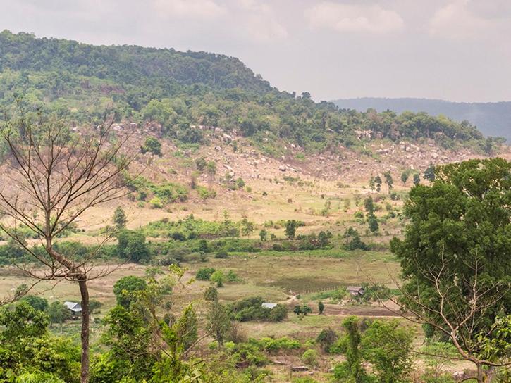 image showing an area of deforestation
