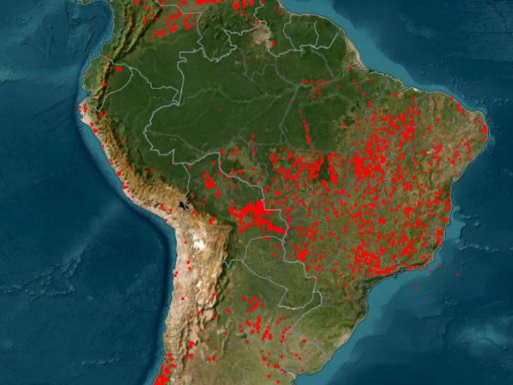 image of MODIS fire data over South America
