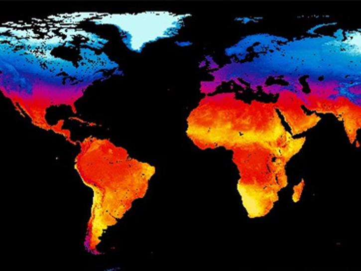 image of MODIS land surface temperature