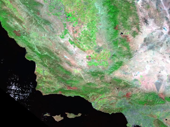 image of MODIS surface reflectance data