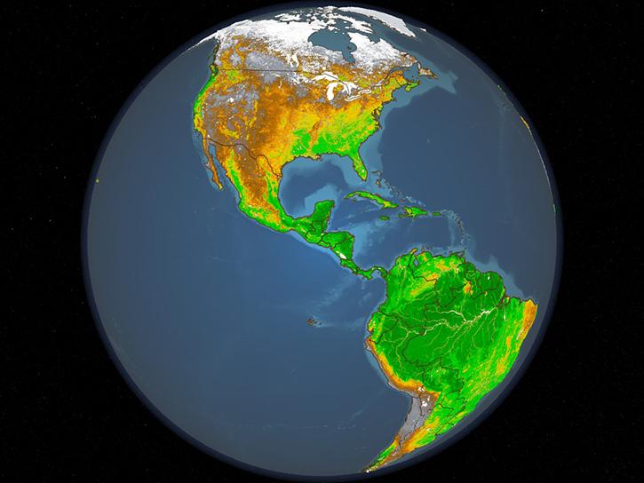 image of MODIS vegetation data