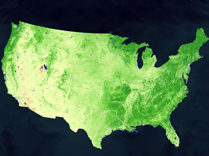 image of MODIS vegetation data