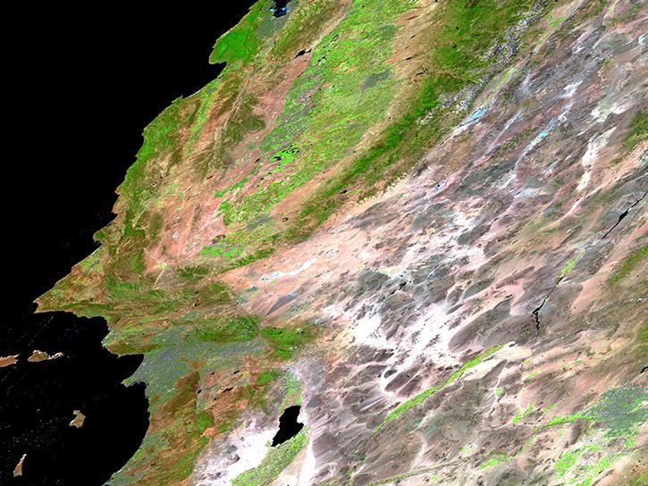 image of VIIRS surface reflectance data