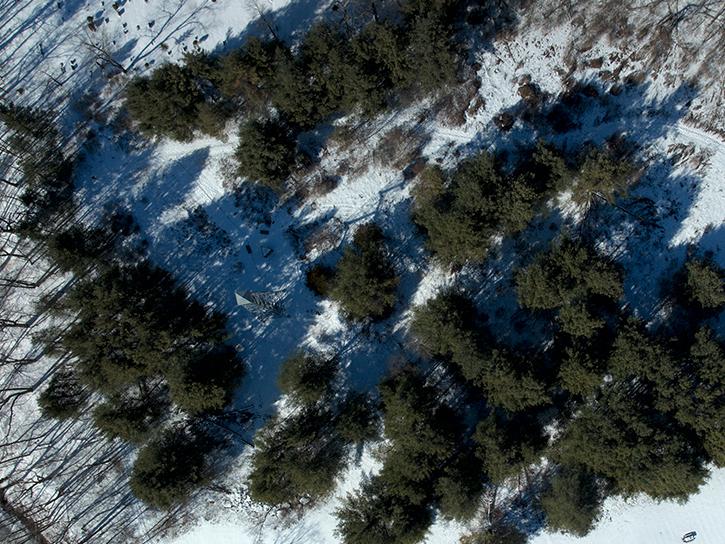 This rectangular aerial image shows a grove of green pine trees with snow covering the ground.