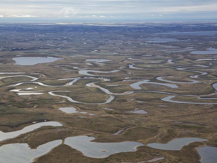 Alaskan Petroleum Reserve