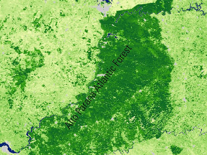 8-day composites of data from June 26 to July 3, 2015, of the Alto Paraná Atlantic Forest area in northeastern Argentina