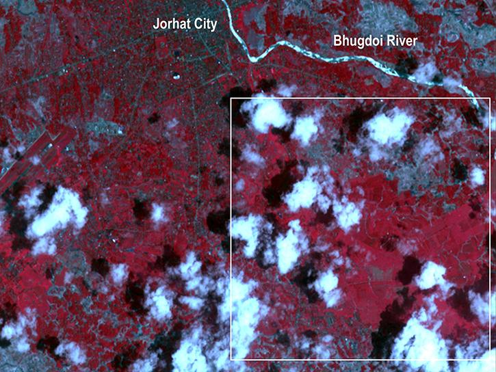 ASTER image of tea farm in India