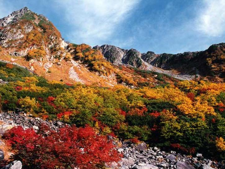 autumn foliage colors in eastern Asia