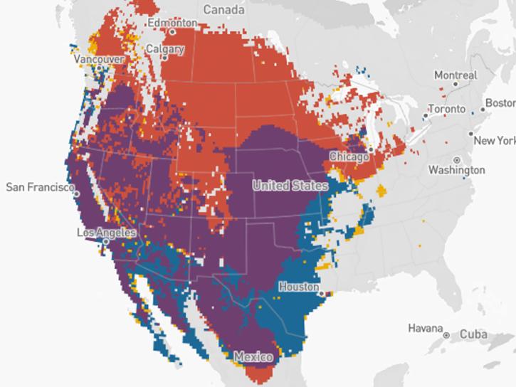 eBird trend tool showing data over the United States