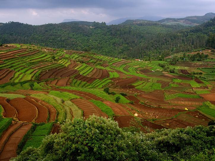 A farm in Kukkal, Tamil Nadu, India