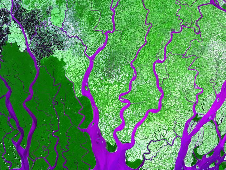 LANDSAT image of the Ganges River Delta