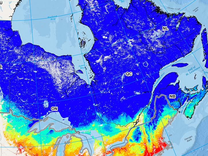 map created by Kotchi and others (2021) of the average risk of Ixodes scapularis in Central and Eastern Canada from 2000 to 2015