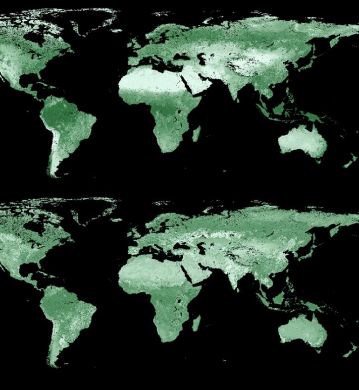 Global maps showing aboveground and belowground biomass.