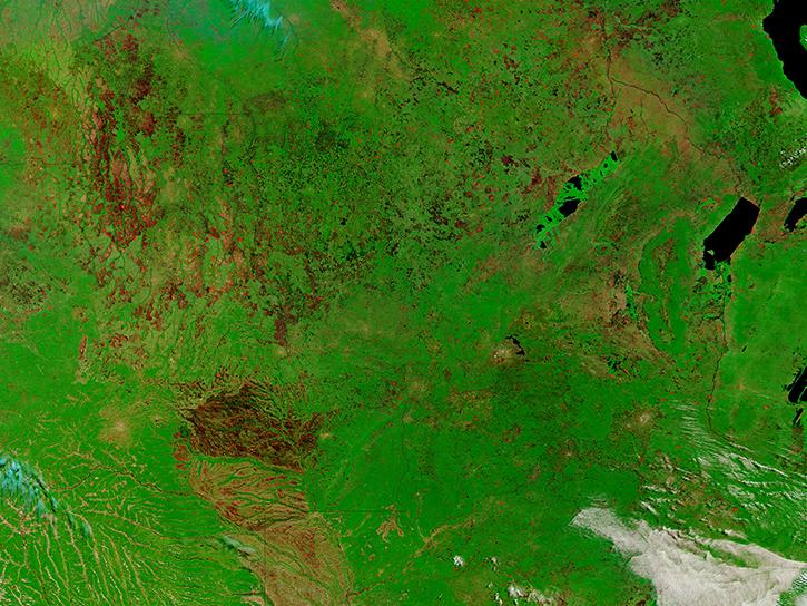 MODIS satellite image of burn scars in central Africa