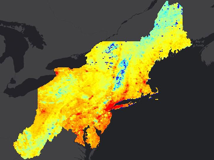 temperature data in the Northeastern United States