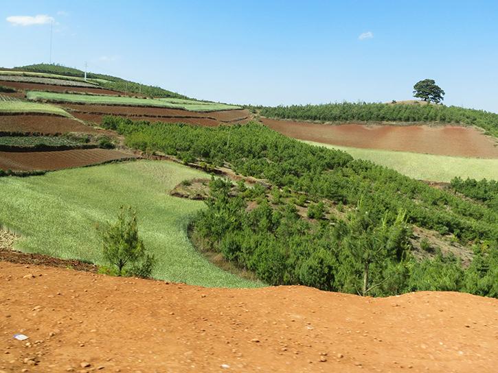 example of reforestation, or afforestation, as a result of the Conversion of Cropland to Forest Program in southern China