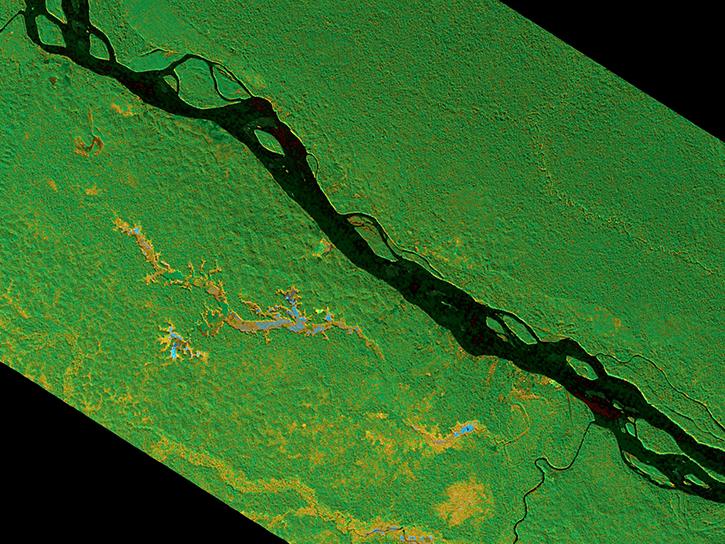 forested wetlands around the Napo River in Ecuador and Peru