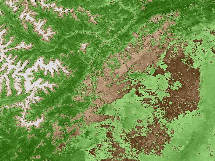 Terra MODIS 16-day NDVI data over the study area from Yunus and others (2020)