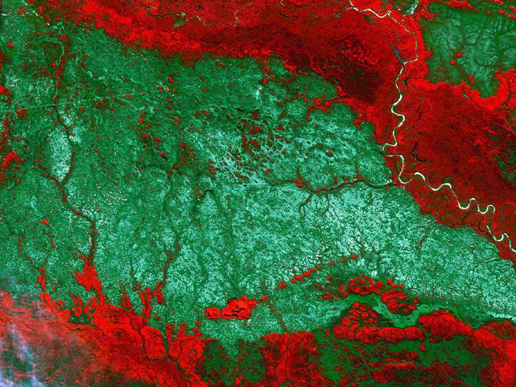 View of Viruá megafan using ASTER bands 3, 2, 1 (RGB). In this band combination, campinarana appear bluish-green and the adjacent forest is red.