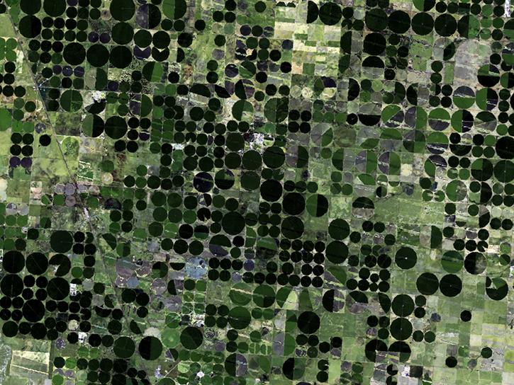 crop data from WELD