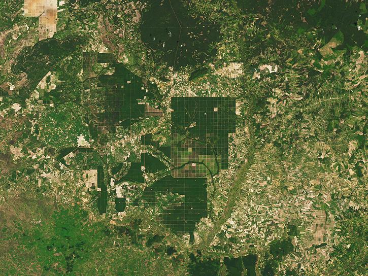 Landsat image of deforestation in Cambodia on October 30, 2015