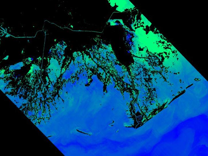 EMIT image of aquatic chlorophyll a content from the EMIT sensor acquired on February 19, 2023. Image depicts a portion of the Mississippi River delta south-southeast of New Orleans, Louisiana, US