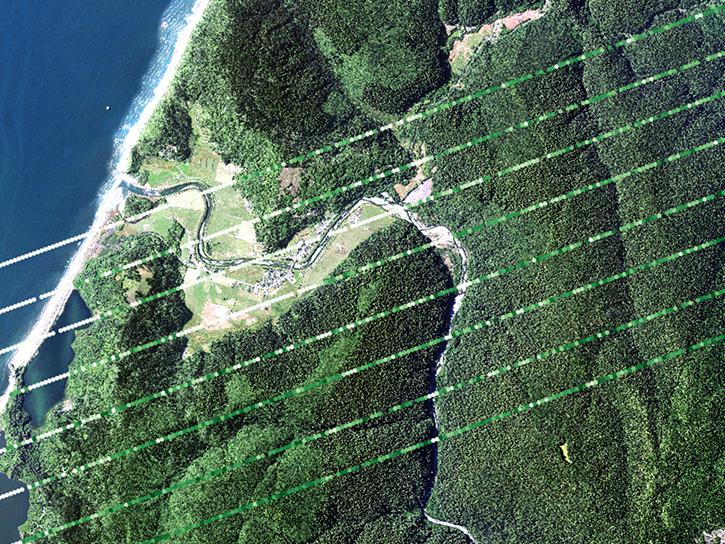 Version 2 GEDI L2B Plant Area Index (PAI) over Redwoods National Park, California