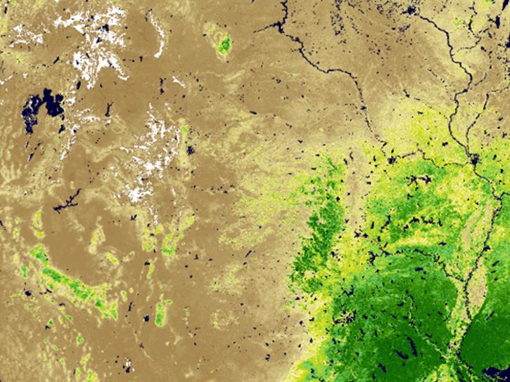 MODIS image of Leaf Area Index in the US midwest