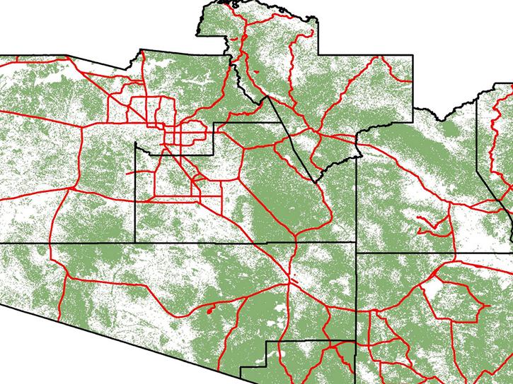 segment of an ocelot proximity risk map of Arizona