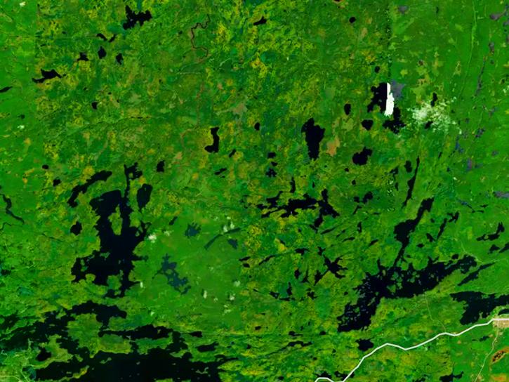 satellite image of Superior National Forest