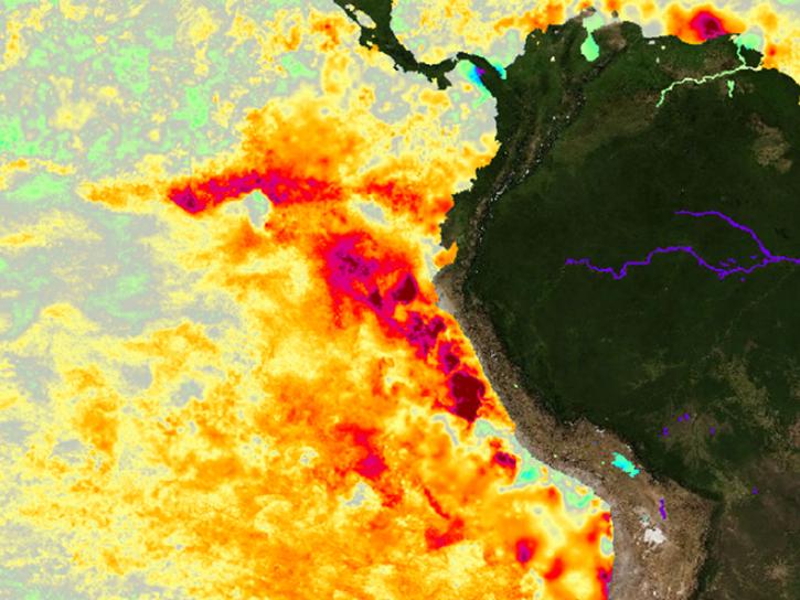 high sea surface temperatures off the Peruvian coast