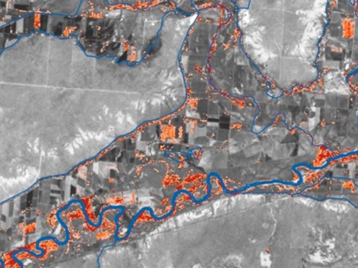 remote sensing satellite image tracking invasive species