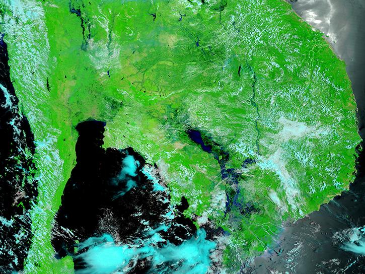 Mekong River delta