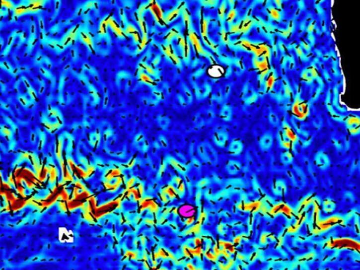 ocean current data around Malaysia