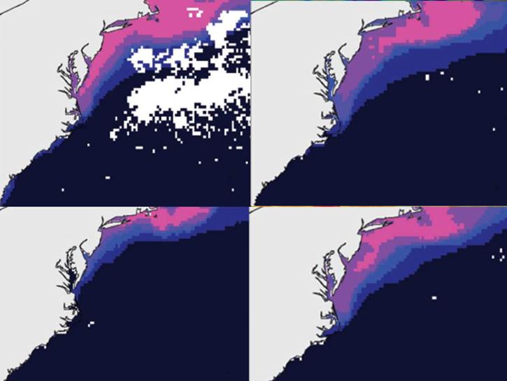 collage of monthly data showing marine fish species along the upper east coast of the United States