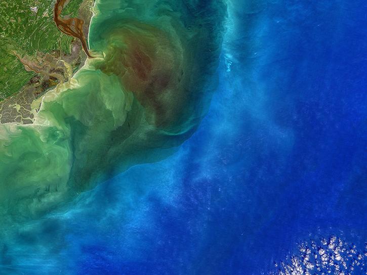 ocean color off the coast of South Carolina