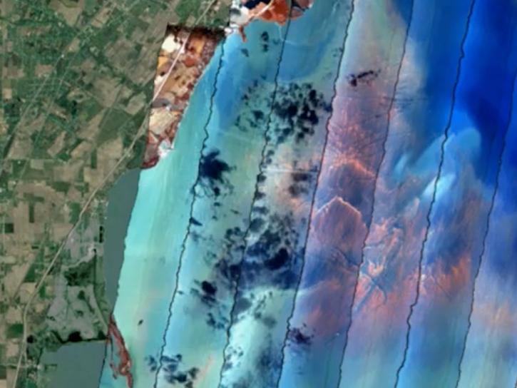 HICO measurements of phytoplankton